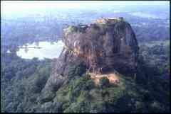 aerial_view_lion's_paws